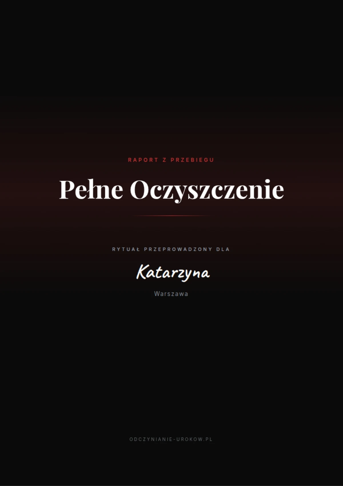 Przykładowa okładka raportu PDF z pełnego oczyszczenia